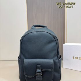 DIOR PS1861