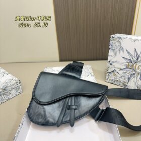 DIOR PS2833