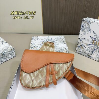 DIOR PS2834