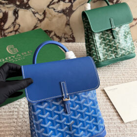 תיק גב GOYARD