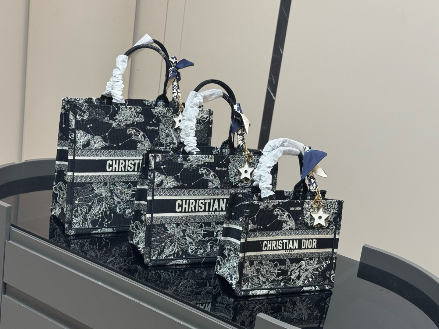 cmp_i1788147784157_5509_0_8 תיק DIOR Book Tote – תמונה 1